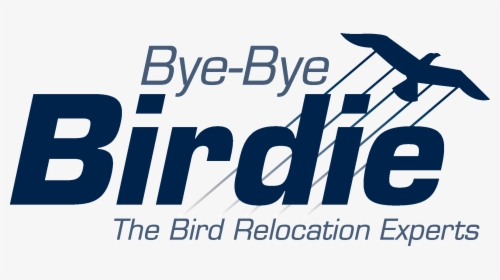 Bye Bye Birdie - New Generation, HD Png Download, Transparent PNG