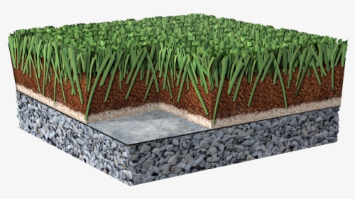 Artificial Turf, HD Png Download, Transparent PNG