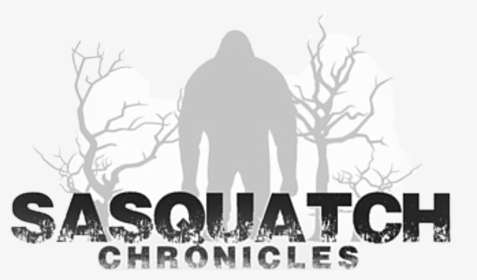 #sasquatchchronicles #sasquatch #bigfoot #cryptid #governmentcoverup - Silhouette, HD Png Download, Transparent PNG