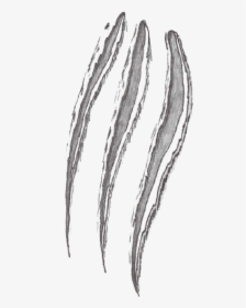 Claw Scratch Png Image - Wolf Claw Marks Drawing, Transparent Png, Transparent PNG