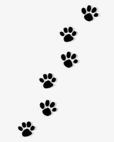 Cat Puppy Dachshund Paw Printing - Puppy Print Clipart Transparent Background, HD Png Download, Transparent PNG