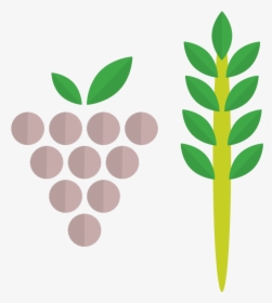 Grapes Wine Label Design, HD Png Download, Transparent PNG