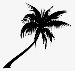 #planta #palmera #silueta - Palm Trees Vector Transparent, HD Png Download, Transparent PNG