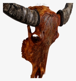 Animal Skulls Cattle Horn - Bull, HD Png Download, Transparent PNG