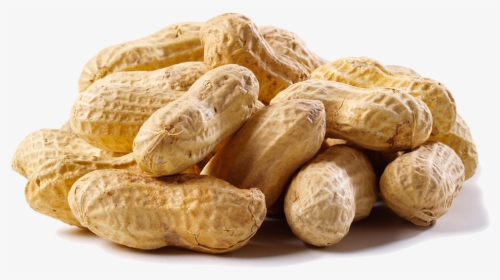 A New Study Showed That Eating Peanuts Or Peanut Butter, HD Png Download, Transparent PNG