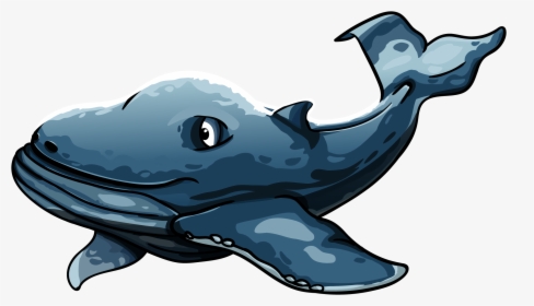 Sea Animals, Animals, Whale - Whales, HD Png Download, Transparent PNG