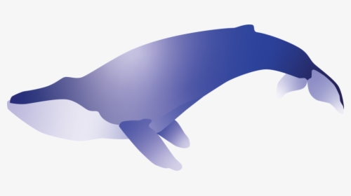 Blue Whale - Common Bottlenose Dolphin, HD Png Download, Transparent PNG