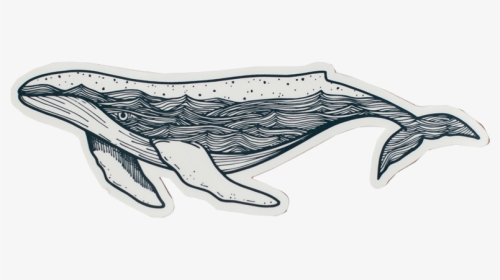 Whale Stickers, HD Png Download, Transparent PNG