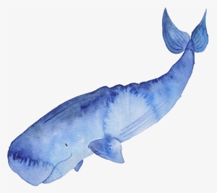 Blue Hand Painted Watercolor - Transparent Watercolor Whale Png, Png Download, Transparent PNG