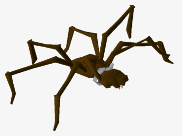 Old School Runescape Wiki - Insect, HD Png Download, Transparent PNG