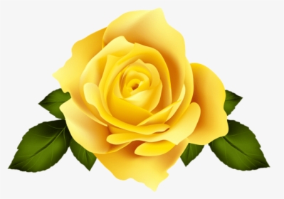 Thumb Image - Yellow Rose Transparent Background, HD Png Download, Transparent PNG