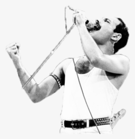 Best Picture Of Freddie Mercury, HD Png Download, Transparent PNG