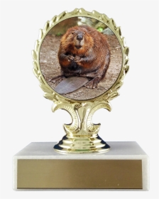 Beaver Logo Trophy On Flat White Marble Trophy Schoppy - Animaux Typique Du Canada, HD Png Download, Transparent PNG