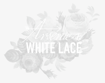 Arsenic And White Lace - Illustration, HD Png Download, Transparent PNG