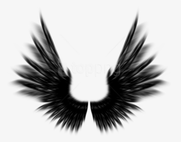 Free Png Shield With Wings Png Png Image With Transparent - Black Angel Wings Photoshop, Png Download, Transparent PNG