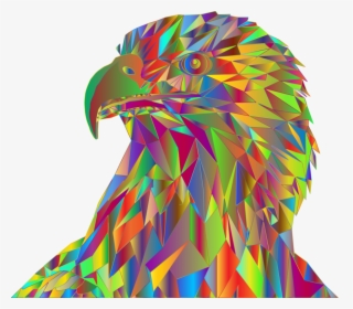 Eagle,bird,bald Eagle - Illustration, HD Png Download, Transparent PNG