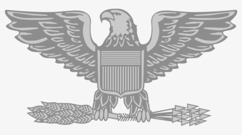 Eagle Clipart Army Air Force Colonel Rank Hd Png Download