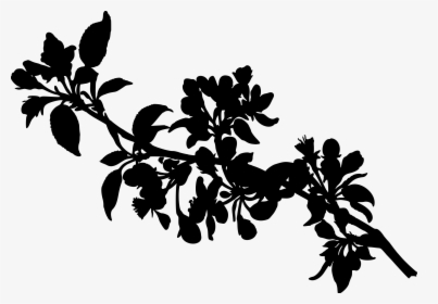 Apple Tree Branch Clip Art - Branch Tree Leaves Silhouette, HD Png Download, Transparent PNG