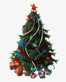 Christmas Fir-tree Png Image - Cemara Pohon Natal Png, Transparent Png, Transparent PNG
