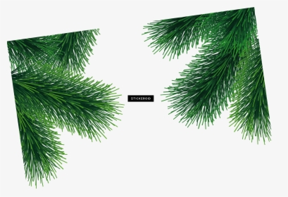 Green Fir-tree , Png Download - Transparent Christmas Tree Branch Png, Png Download, Transparent PNG
