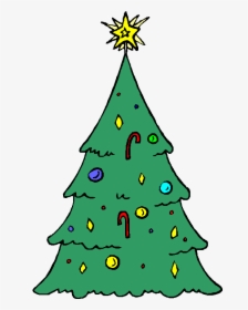 Of The Stately Fir Tree Remains Green All Year Round, - Christmas, HD Png Download, Transparent PNG