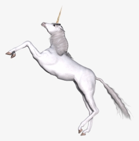 Full White Unicorn Prancing - Unicorn, HD Png Download, Transparent PNG