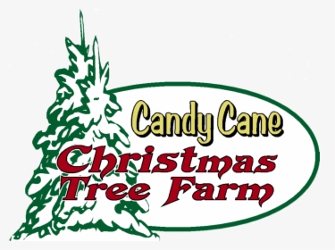 Candy Cane Christmas Tree Farm Logo - Christmas Tree Farm Clip Art, HD Png Download, Transparent PNG