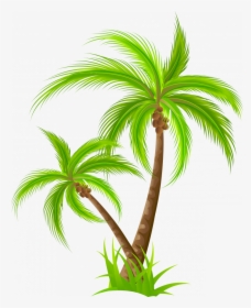 Medium Size Of Christmas Tree - Palm Tree Png Clipart, Transparent Png, Transparent PNG