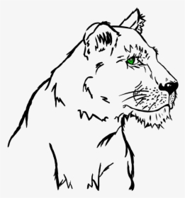 A Lioness , Png Download - Illustration, Transparent Png, Transparent PNG