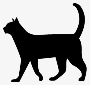 Invisible Lioness - Black Cat Silhouette Walking, HD Png Download, Transparent PNG