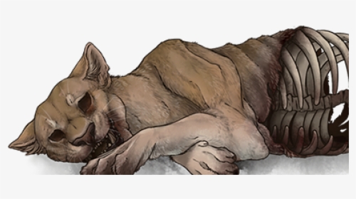Lioness, For Computer Picture - Lion, HD Png Download, Transparent PNG