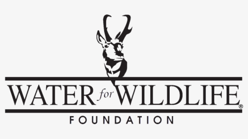 Water For Wildlife Foundation, HD Png Download, Transparent PNG