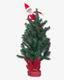 Elf In Tree - Christmas Ornament, HD Png Download, Transparent PNG