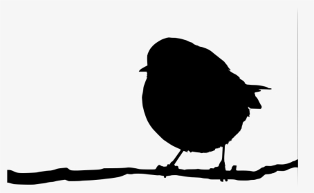 Transparent Isolated Birds Png - Silhouette Robin On A Branch, Png Download, Transparent PNG