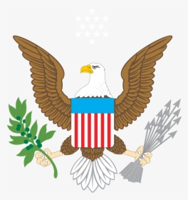 American Bald Eagle Drawing, HD Png Download, Transparent PNG