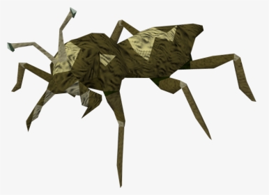 Cave Bugs Runescape, HD Png Download, Transparent PNG