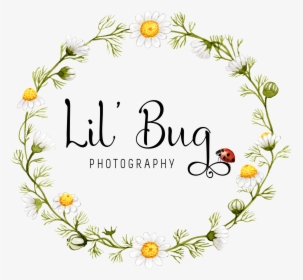 Lilbugfloral - Bee Kind Wall Art, HD Png Download, Transparent PNG