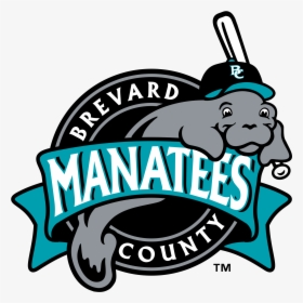 Brevard County Manatees Logo, HD Png Download, Transparent PNG
