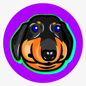 Dog - Austrian Black And Tan Hound, HD Png Download, Transparent PNG