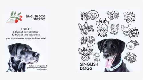 Singlish Doggo Stickers - Braque D'auvergne, HD Png Download, Transparent PNG