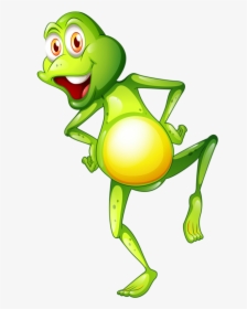 Png Cute Frogsfunny - Frog With Big Belly, Transparent Png, Transparent PNG
