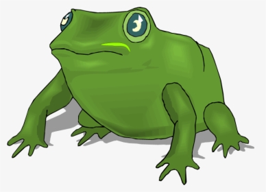 Free Frog Clipart - Large Frog Clip Art, HD Png Download, Transparent PNG
