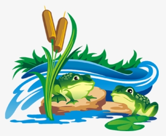 Frogs Clipart Clear Background - Cat Tail Plant, HD Png Download, Transparent PNG