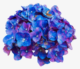 Pink Purple Blue Flowers Transparent, HD Png Download, Transparent PNG