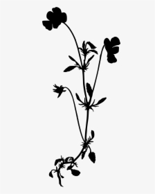 Heartsease Silhouette Big Image Png Silhouette Of A- - Silhouette Wildflower Clipart Black And White, Transparent Png, Transparent PNG