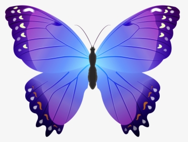 Butterfly Purple Transparent Png Clip Art - Butterfly Purple Clipart, Png Download, Transparent PNG