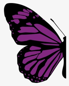 Half Of Butterfly Png, Transparent Png, Transparent PNG