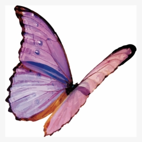 Image Of A Purple Butterfly - Flying Moth Png, Transparent Png, Transparent PNG