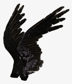 Black Angel Wings Side View , Png Download - Black Angel Wings Side View, Transparent Png, Transparent PNG