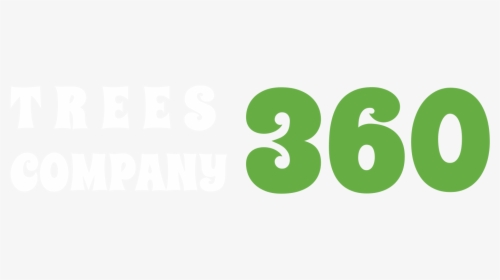Jungle Tree Png, Transparent Png, Transparent PNG